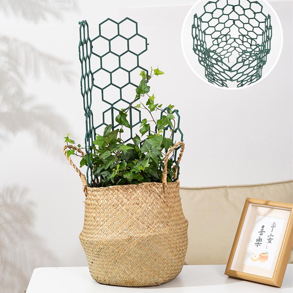1/2/5 szt. Plastikowe podpórki – Vine Climbing Plastic recenzja i cena