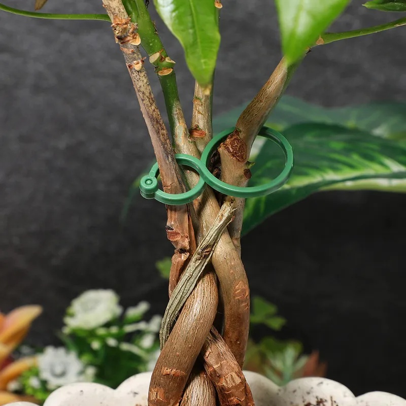 50-400 szt. Klipsów do Podtrzy – Vine Climbing Plastic recenzja i cena