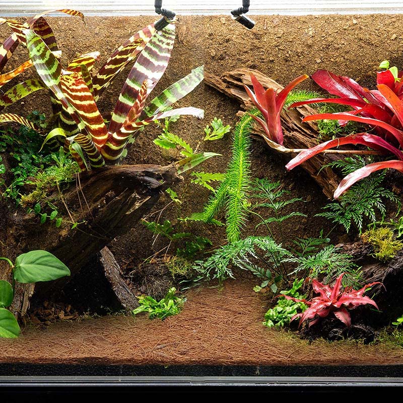 AT21 - Mata z naturalnego włók – Substrate Coconut Fiber recenzja i cena