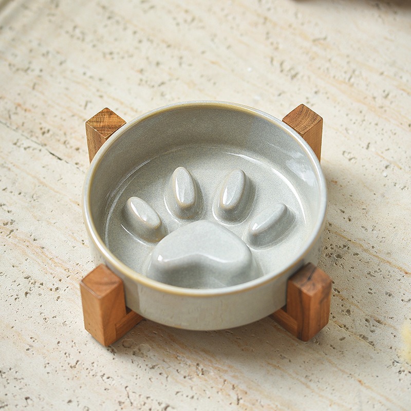 Miska ceramiczna dla kota w st – Royal Canin Food Medium recenzja i cena