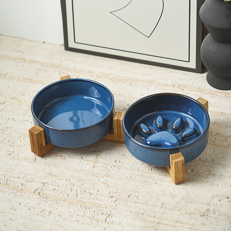 Miska ceramiczna dla kota w st – Royal Canin Food Medium recenzja i cena