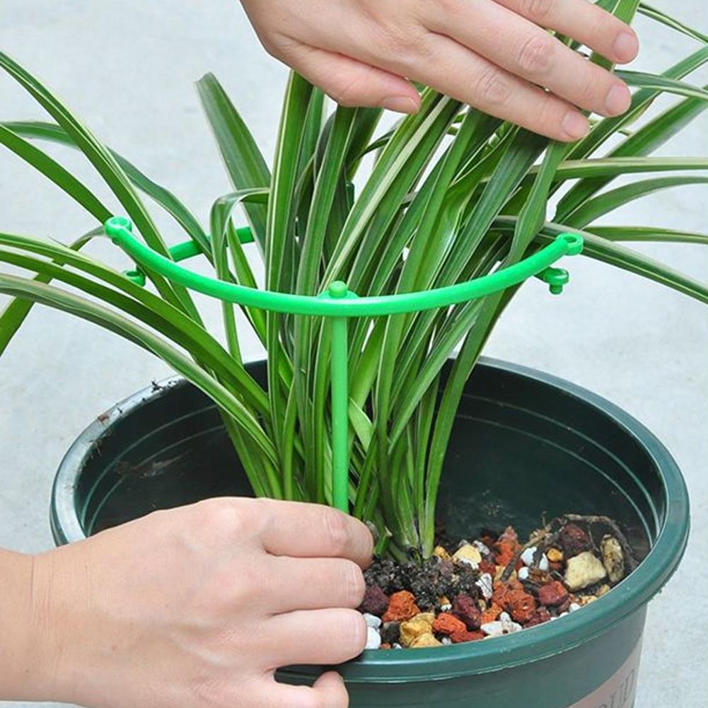 Regulowany, zielony, krataowan – Vine Climbing Plastic recenzja i cena