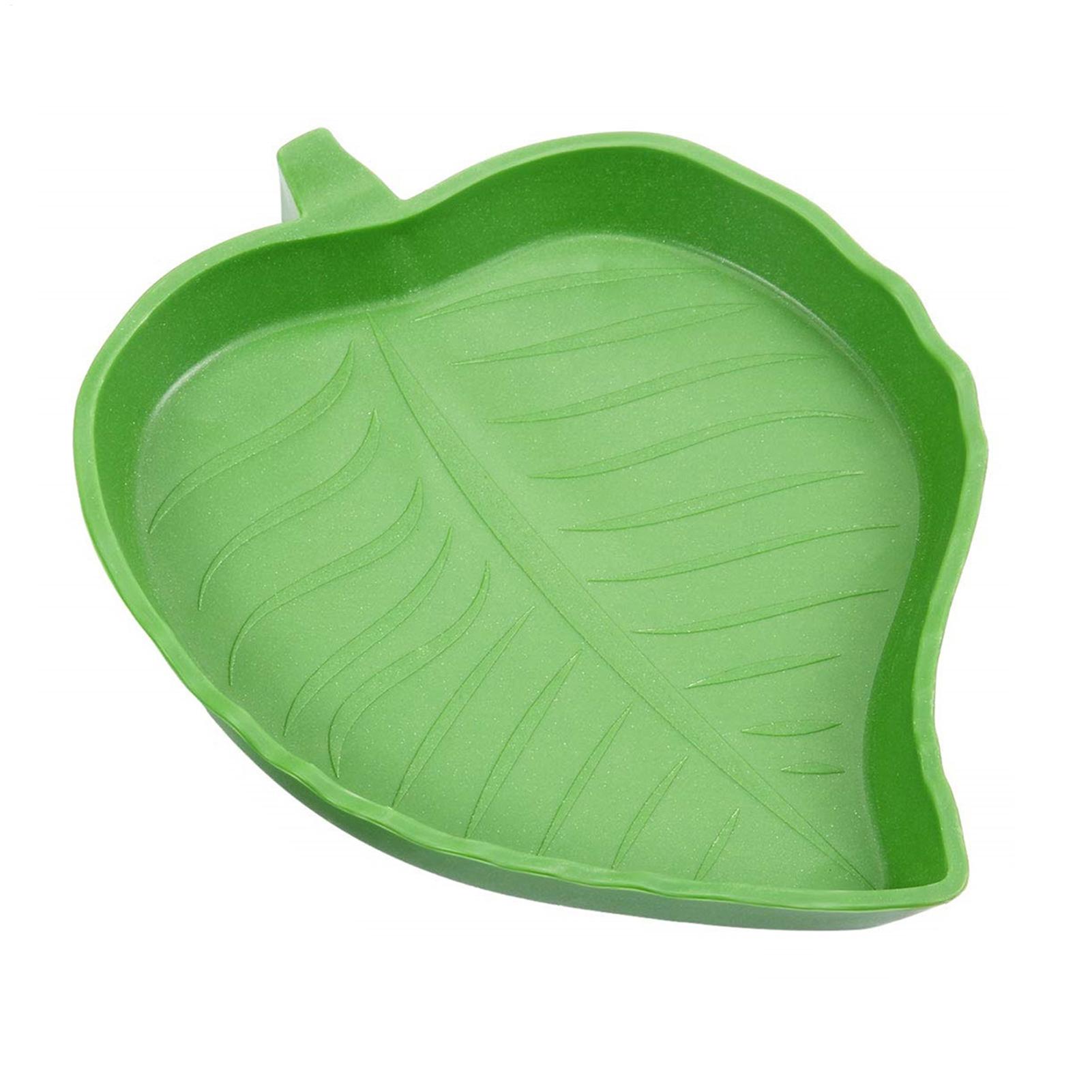 Miska na wodę i karmę dla gadó – Water Dish Reptile recenzja i cena